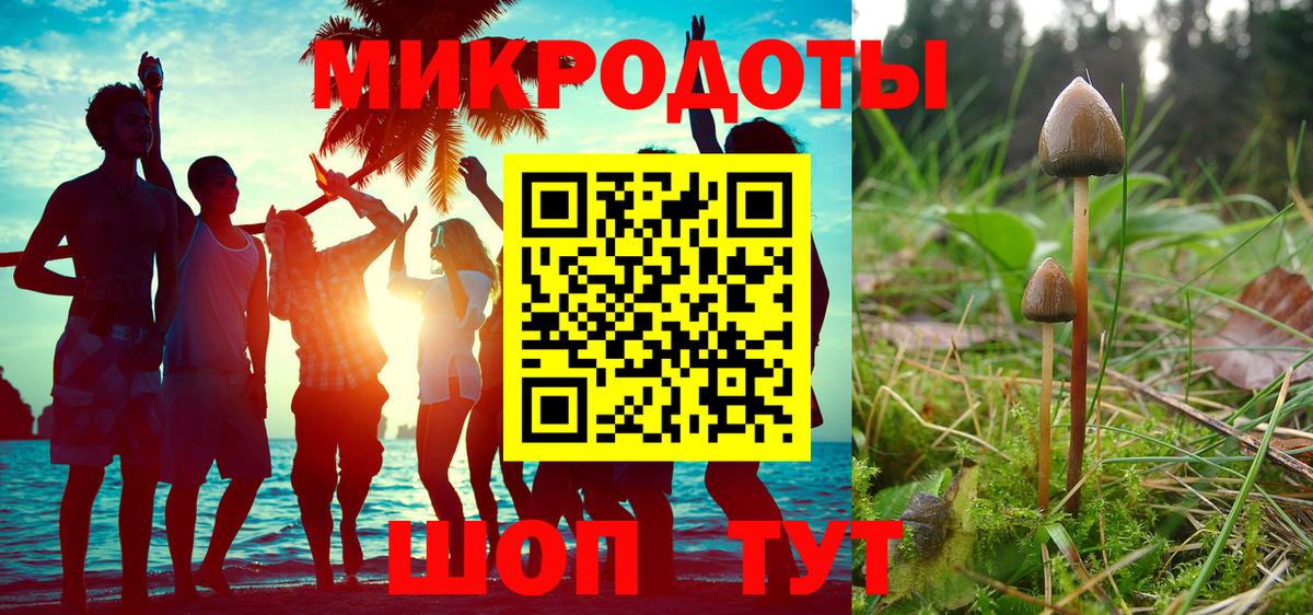 Балаково  Псилоцибиновые грибы Magic Shrooms  Вход с VPN  наркотики  Псилоцибиновые грибы мицелий 